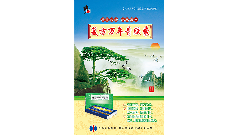 /static/active/2018315/style/xiuzheng-6.jpg
