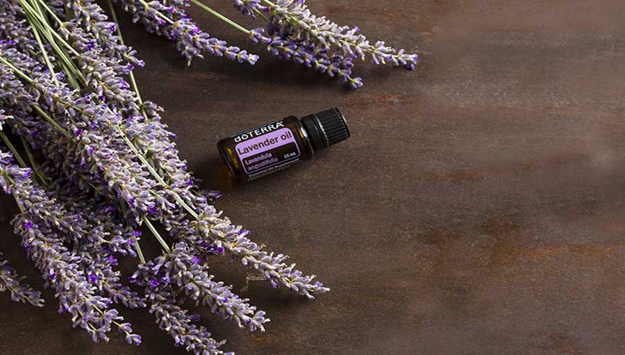 /static/active/2019315/style/doterra-11.jpg