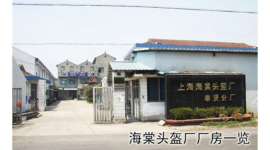 /static/active/2019315/style/shhaitang-1.jpg