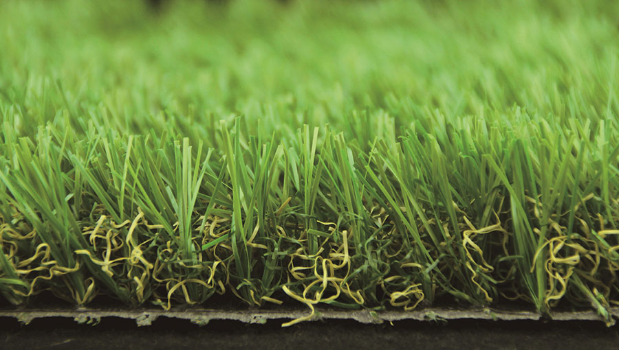 /static/active/2020315/style/ccgrass-6.jpg