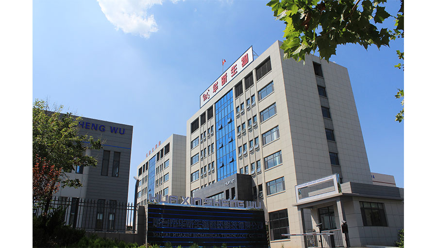 /static/active/2020315/style/huaxinsw-2.jpg