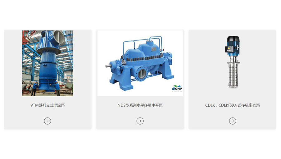 /static/active/2021315/cnppump-10.jpg