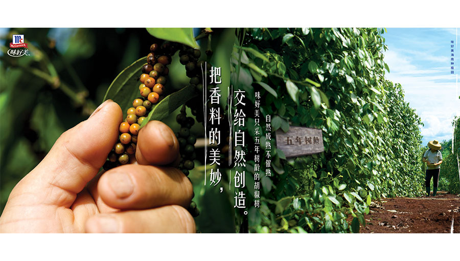 /static/active/2021315/weihaomei-1.jpg